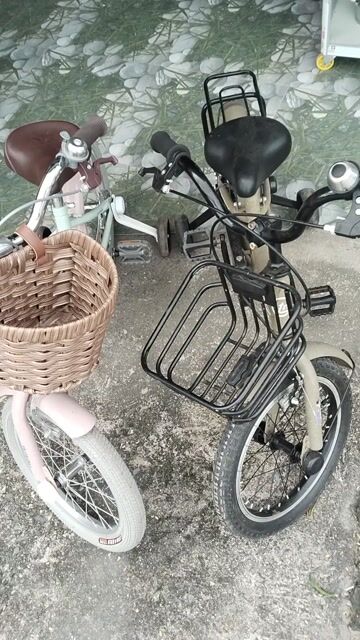 Xe đạp trẻ em. Mua bán Xe đạp tại Huyện Củ Chi Tp Hồ Chí Minh được đăng bởi Nobita hình 1