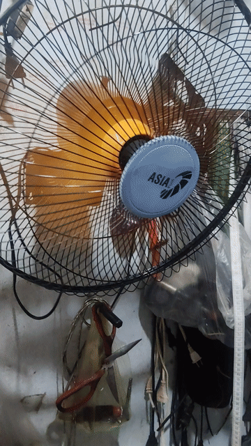 Quạt treo tường Asia Đen, Vàng 3 chế độ gió. Mua bán Quạt tại Quận Gò Vấp Tp Hồ Chí Minh được đăng bởi Nga 76 ko sip hàng hình 1