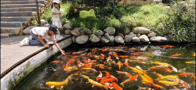 Cho thuê Văn phòng, Mặt bằng kinh doanh Quận 12 Tp Hồ Chí Minh diện tích 15 m² giá 6 triệu/tháng