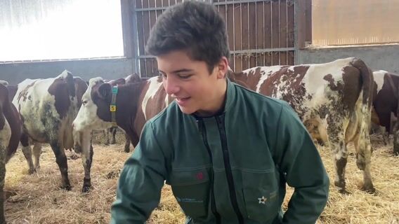 la repro c'est rigolo