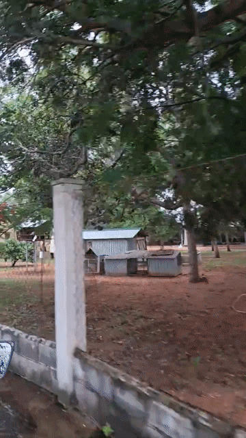 Mua bán Đất Thành phố Phan Thiết Bình Thuận diện tích 1150 m² giá 5,048 tỷ