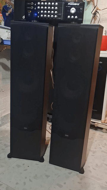 Loa đứng Paramax LX-2800. Mua bán Tivi, Âm thanh tại Quận Bình Tân Tp Hồ Chí Minh được đăng bởi HOÀNG  hình 1