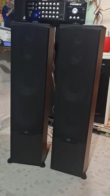 Loa đứng Paramax LX-2800. Mua bán Tivi, Âm thanh tại Quận Bình Tân Tp Hồ Chí Minh được đăng bởi HOÀNG  hình 1