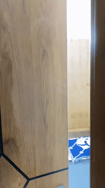 Cho thuê Căn hộ Chung cư Quận 3 Tp Hồ Chí Minh diện tích 30 m² giá 6,5 triệu/tháng