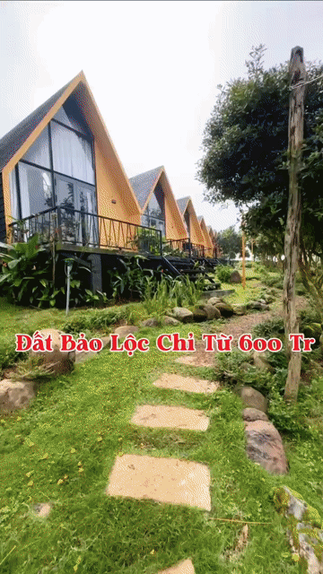 Mua bán Đất Thành phố Đà Lạt Lâm Đồng diện tích 300 m² giá 1,2 tỷ