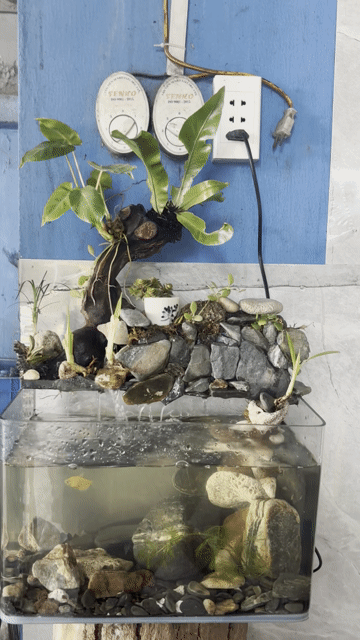 Hồ bán cạn Thiên nhiên. Mua bán Cây cảnh, đồ trang trí tại Huyện Thăng Bình Quảng Nam được đăng bởi Hộ hình 1