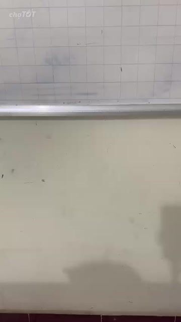 HCM Vũng Tàu bán mèo tai cụp mắt xanh dương cá rẻ. Mua bán Mèo tại Quận 5 Tp Hồ Chí Minh được đăng bởi Miss An hình 1