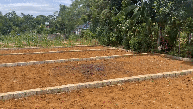 Mua bán Đất Huyện Ngọc Lặc Thanh Hóa diện tích 100 m² giá 300 triệu