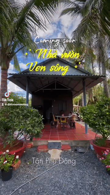 Mua bán Nhà ở Huyện Tân Phú Đông Tiền Giang diện tích 1035 m² giá 1,2 tỷ