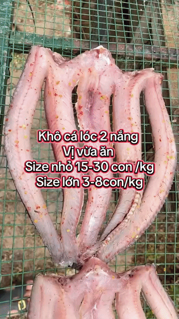 Cá khô Cá lóc đồng Một nắng. Mua bán Đồ ăn, thực phẩm và các loại khác tại Quận Bình Tân Tp Hồ Chí Minh được đăng bởi Thanh Vân hình 1