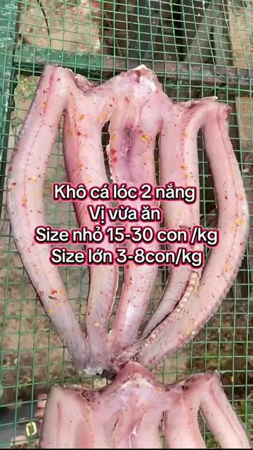 Cá khô Cá lóc đồng Một nắng. Mua bán Đồ ăn, thực phẩm và các loại khác tại Quận Bình Tân Tp Hồ Chí Minh được đăng bởi Thanh Vân hình 1