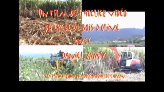 Coupeur de cannes à sucre