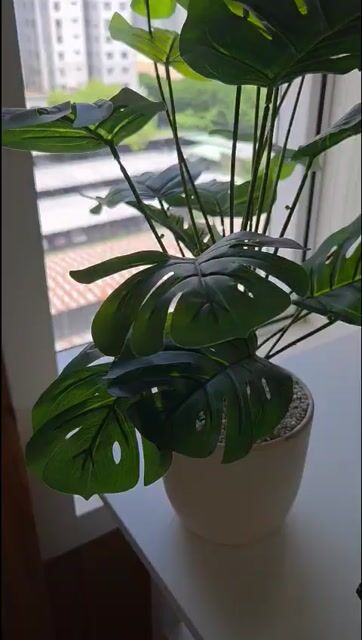Chậu cây giả decor, trang trí còn mới, đẹp. Mua bán Cây cảnh, đồ trang trí tại Quận 4 Tp Hồ Chí Minh được đăng bởi Ami Nguyen hình 1