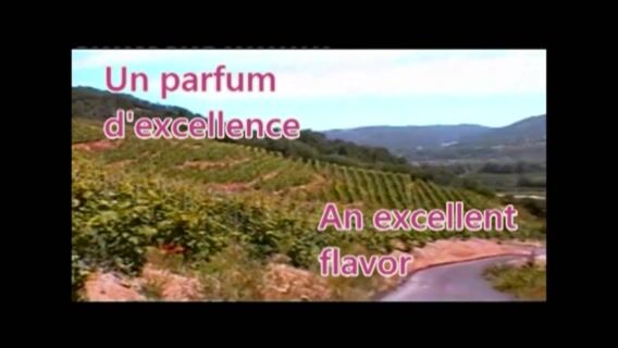 Un Parfum d'excellence