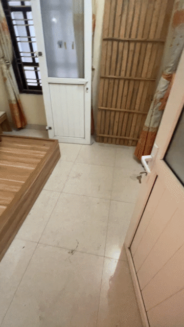 Cho thuê Phòng trọ Huyện Thanh Trì Hà Nội diện tích 20 m² giá 2,3 triệu/tháng