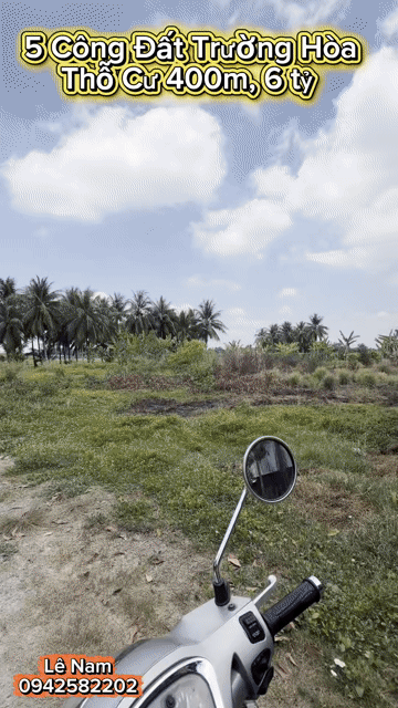 Mua bán Đất Huyện Hòa Thành Tây Ninh diện tích 5000 m² giá 6 tỷ