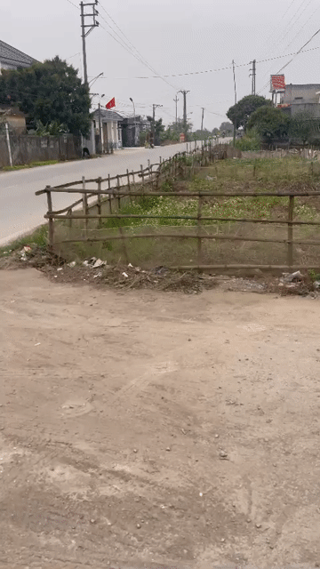 Mua bán Đất Huyện Tiền Hải Thái Bình diện tích 207 m² giá 1,65 tỷ