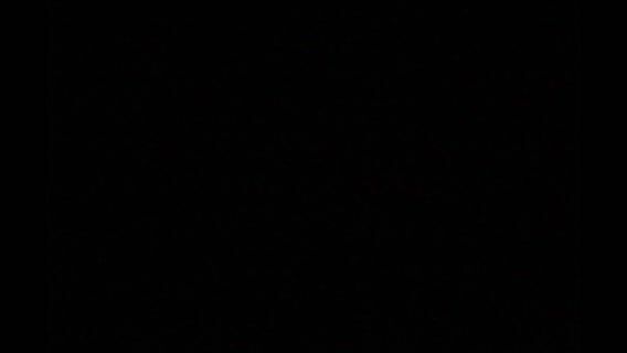 Une Ode à l’Harmonie : La Métamorphose des lieux