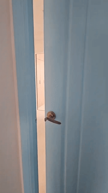 Cho thuê Căn hộ Chung cư Quận Phú Nhuận Tp Hồ Chí Minh diện tích 50 m² giá 9,5 triệu/tháng