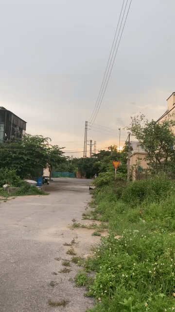 Mua bán Đất Huyện Tiền Hải Thái Bình diện tích 90 m² giá 1,28 tỷ