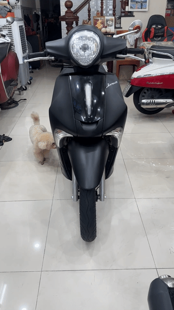 Yamaha Janus Fi ( Đời 2018 ) BS: 65 Cần Thơ. Mua bán Xe máy tại Quận Ninh Kiều Cần Thơ được đăng bởi CH XE MÁY 7 THÀNH hình 1