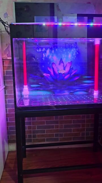 Bể cá cảnh 80x50x60 cm Đã qua sử dụng. Mua bán Phụ kiện, Thức ăn, Dịch vụ tại Quận 3 Tp Hồ Chí Minh được đăng bởi  nguyên hình 1