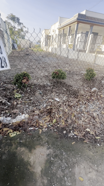 Mua bán Đất Huyện Gò Công Đông Tiền Giang diện tích 310 m² giá 2,3 tỷ