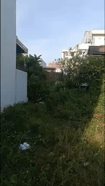 Mua bán Đất Thị xã An Nhơn Bình Định diện tích 83.97 m² giá 2,2 tỷ