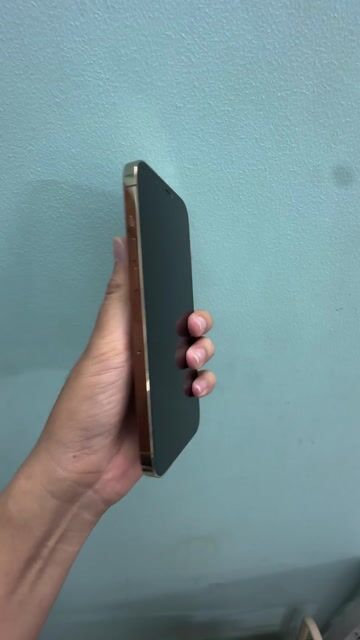 iPhone 12 Pro Max 256GB Vàng 100%. Mua bán Điện thoại tại Quận 1 Tp Hồ Chí Minh được đăng bởi CTĐ hình 1