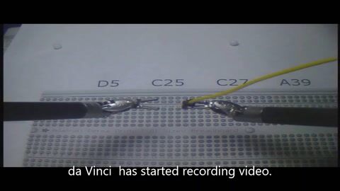 Voice-Enabled Autonomous Camera Control System for the da Vinci Surgical Robot