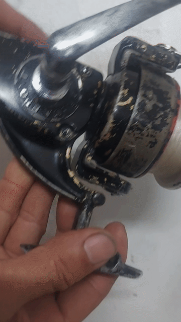 Máy câu cá Daiwa Sport 10000 Đen Nhật Bản. Mua bán Đồ thể thao, Dã ngoại tại Quận 10 Tp Hồ Chí Minh được đăng bởi Lee Bush hình 1