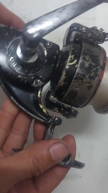 Máy câu cá Daiwa Sport 10000 Đen Nhật Bản. Mua bán Đồ thể thao, Dã ngoại tại Quận 10 Tp Hồ Chí Minh được đăng bởi Lee Bush hình 1