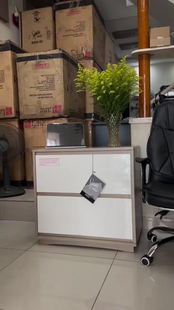 THANH LÝ 20 TỦ HIỆU ASHLEY RẤT ĐẸP