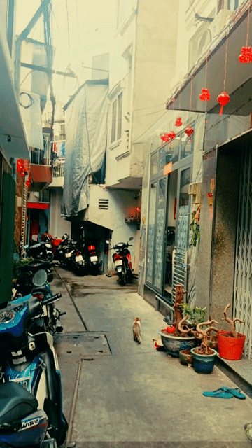 Mua bán Nhà ở Quận 6 Tp Hồ Chí Minh diện tích 45 m² giá 5,75 tỷ