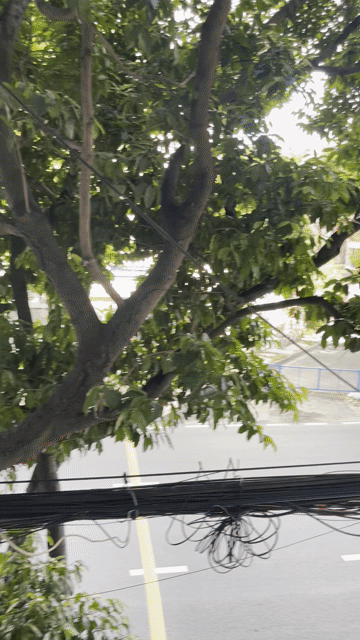 Cho thuê Phòng trọ Quận Tân Bình Tp Hồ Chí Minh diện tích 45 m² giá 5,5 triệu/tháng