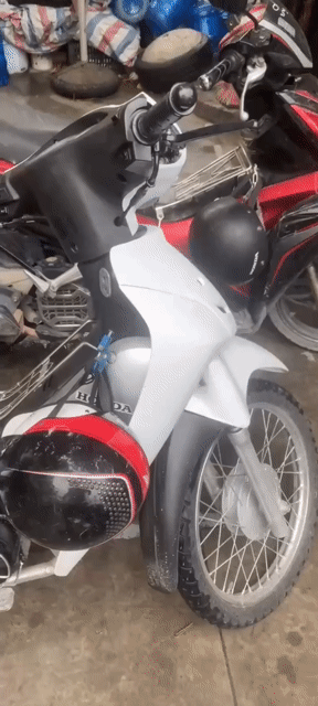 Honda Wave Trắng Mới. Mua bán Xe máy tại Quận Hà Đông Hà Nội được đăng bởi Nguyễn việt anh hình 1