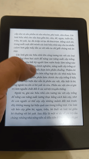 Máy đọc sách Kindle Paperwhite 3 Đen. Mua bán Máy tính bảng tại Huyện Thanh Trì Hà Nội được đăng bởi Nguyen Tung hình 1