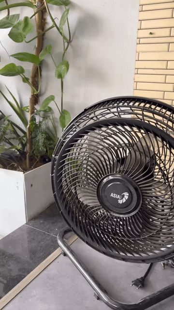 Quạt điện ASIA Đen Đã sử dụng 4 cái. Mua bán Quạt tại Huyện Củ Chi Tp Hồ Chí Minh được đăng bởi Huỳnh Phát hình 1