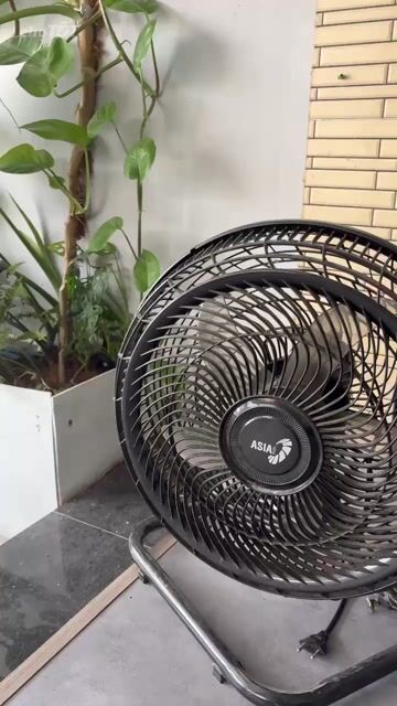 Quạt điện ASIA Đen Đã sử dụng 4 cái. Mua bán Quạt tại Huyện Củ Chi Tp Hồ Chí Minh được đăng bởi Huỳnh Phát hình 1