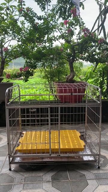 cún cưng bị chết đột xuất mình cần thanh lí như hi. Mua bán Phụ kiện, Thức ăn, Dịch vụ tại Huyện Hoằng Hóa Thanh Hóa được đăng bởi Dung hình 1