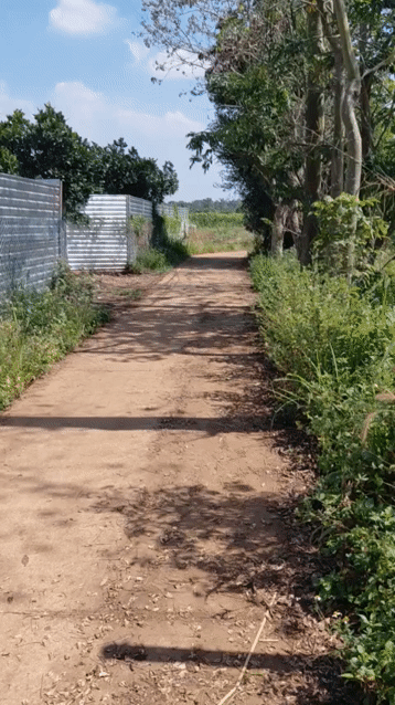 Mua bán Đất Huyện Cẩm Mỹ Đồng Nai diện tích 12200 m² giá 7,9 tỷ