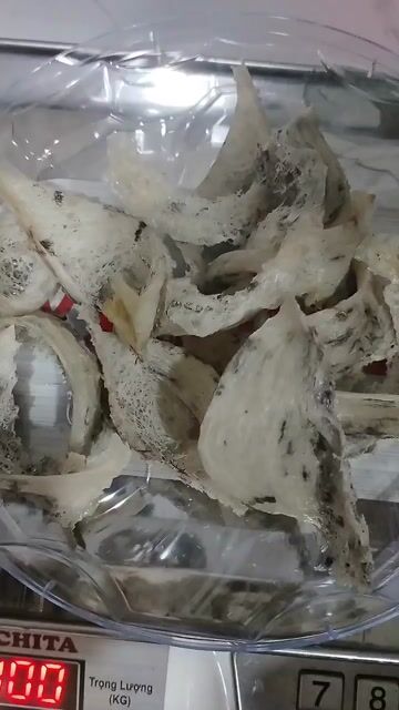 Tổ Yến Sào Hương Lạc Yến Nhà làm 50g/5 tổ. Mua bán Đồ ăn, thực phẩm và các loại khác tại Thành phố Rạch Giá Kiên Giang được đăng bởi Kha Tuấn hình 1