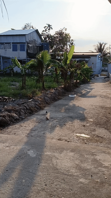 Mua bán Đất Huyện Châu Thành Bến Tre diện tích 468 m² giá 620 triệu