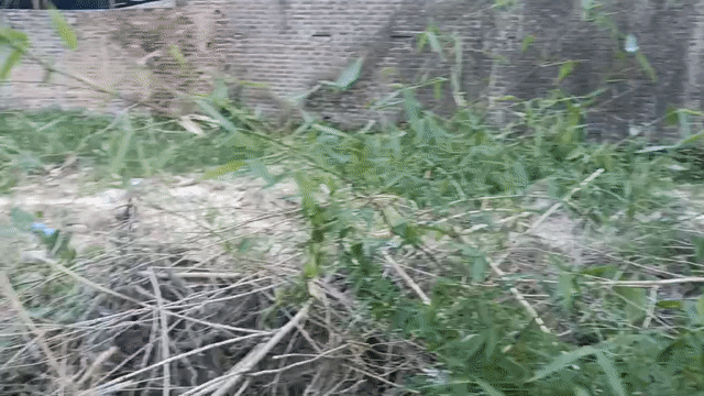 Cho thuê Đất Huyện Sóc Sơn Hà Nội diện tích 700 m² giá 30 triệu/tháng