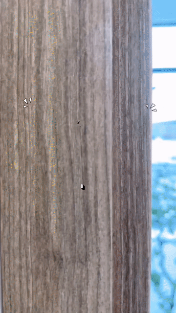 Cho thuê Căn hộ Chung cư Quận 7 Tp Hồ Chí Minh diện tích 40 m² giá 6,5 triệu/tháng