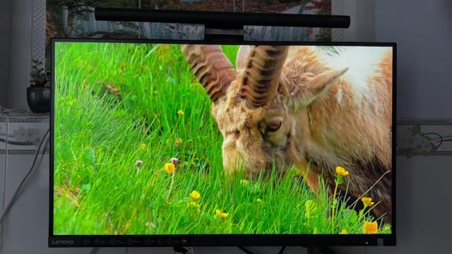 Màn hình Lenovo L27qe 27 inch 2K 100hz 100% sRGB. Mua bán Phụ kiện (Màn hình, Chuột...) tại Quận 8 Tp Hồ Chí Minh được đăng bởi Minh Hiếu hình 1