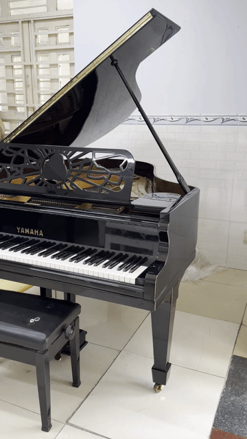 Đàn piano Yamaha Grand Đen Gỗ. Mua bán Nhạc cụ tại Thành phố Thủ Đức Tp Hồ Chí Minh được đăng bởi Kho piano cơ uprigh Nhật Bản hình 1