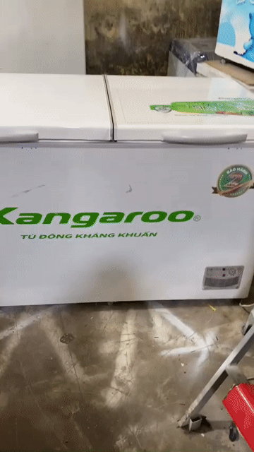 Tủ đông Kangaroo 700L. Mua bán Tủ lạnh tại Quận Thanh Xuân Hà Nội được đăng bởi Gia bảo hình 1
