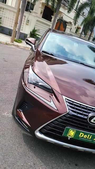 Lexus Nx300 đk 2019 thể thao, trẻ trung & CAO CẤP. Mua bán Ô tô tại Quận Phú Nhuận Tp Hồ Chí Minh được đăng bởi Tân Đề Li hình 1