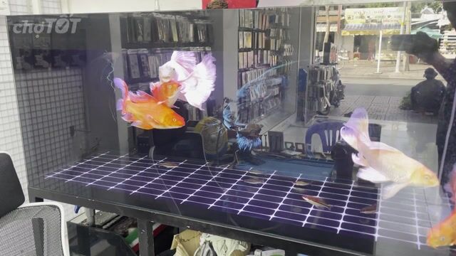 phi tần size to. Mua bán Thú cưng khác tại Huyện Củ Chi Tp Hồ Chí Minh được đăng bởi Tài Anh hình 1